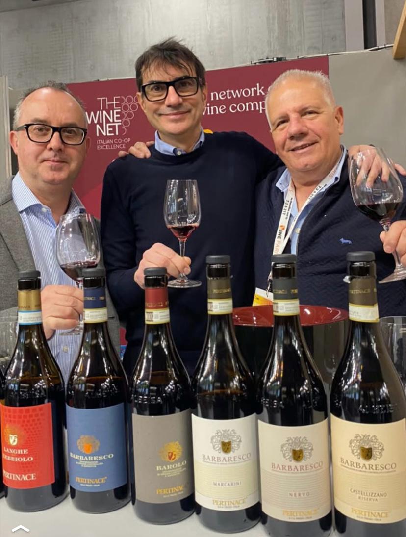 Vineyards with a mountain backdrop, where nature meets agriculture.