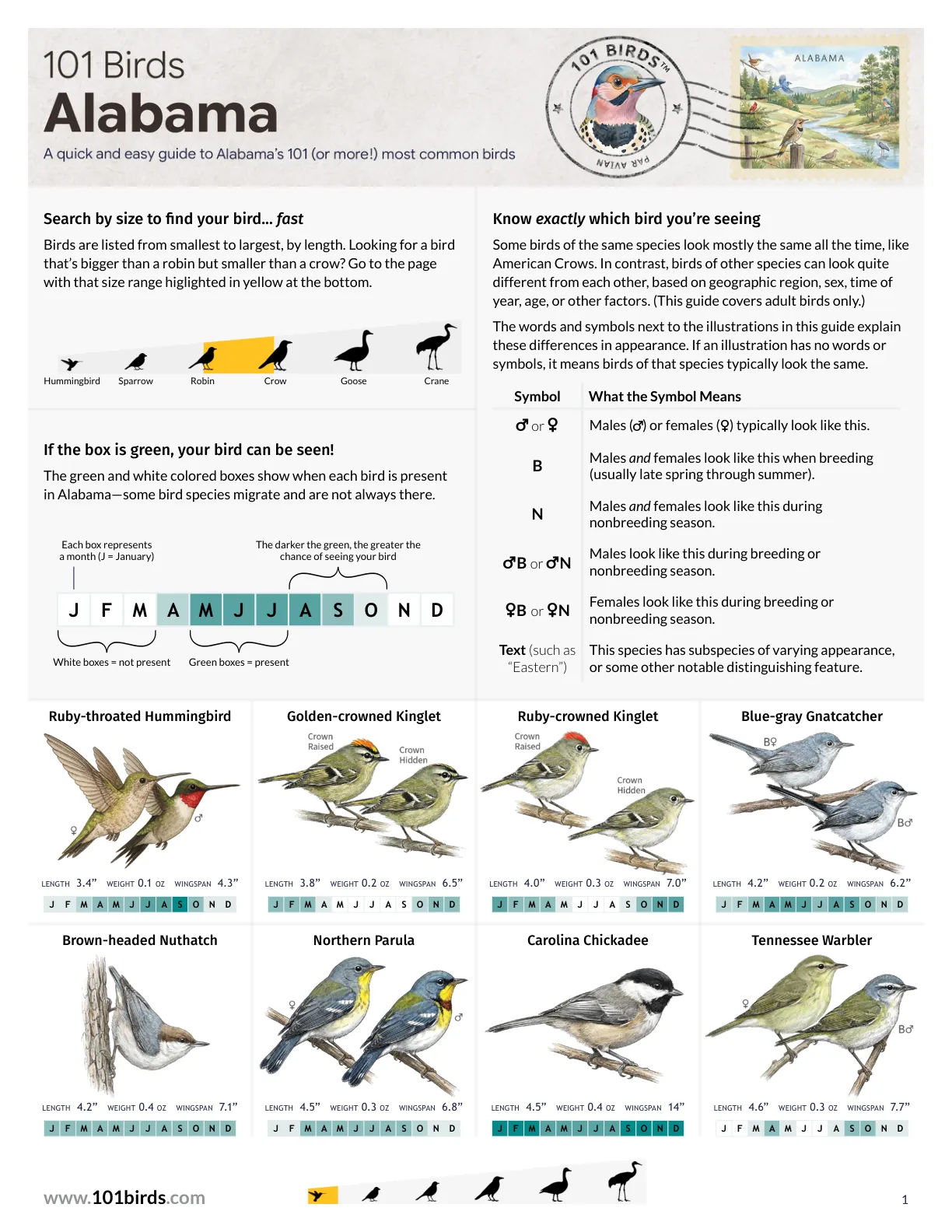 A guide to Alabama's 101 most common birds, featuring illustrations, size comparisons, seasonal presence, and identification symbols.