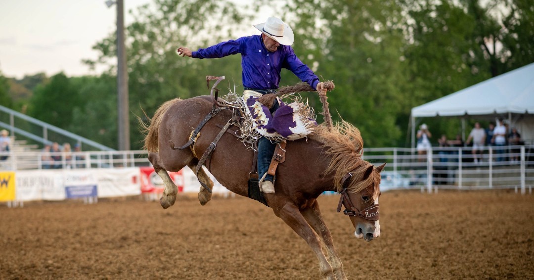 Saddle Bronc Rider