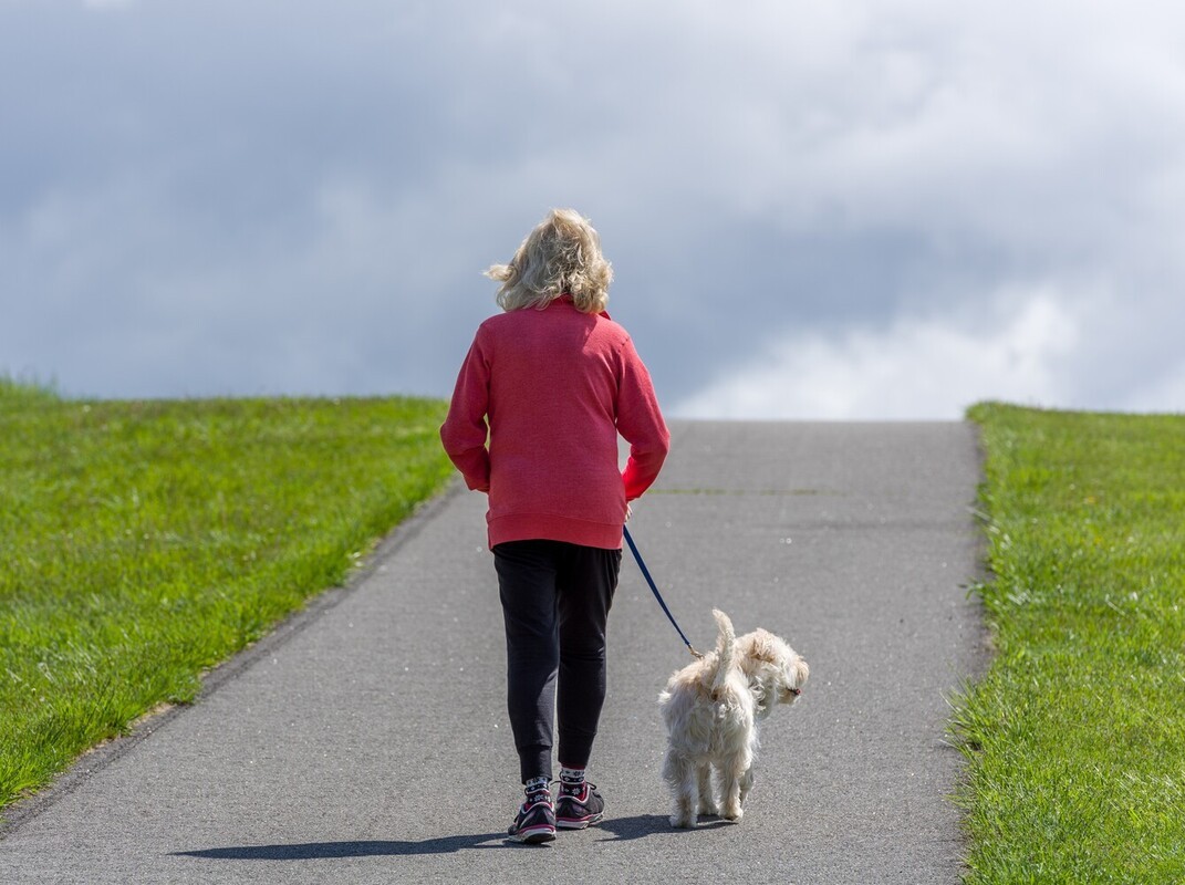 woman walking and losing weight with her dog by doing an incline walk up a hill outside