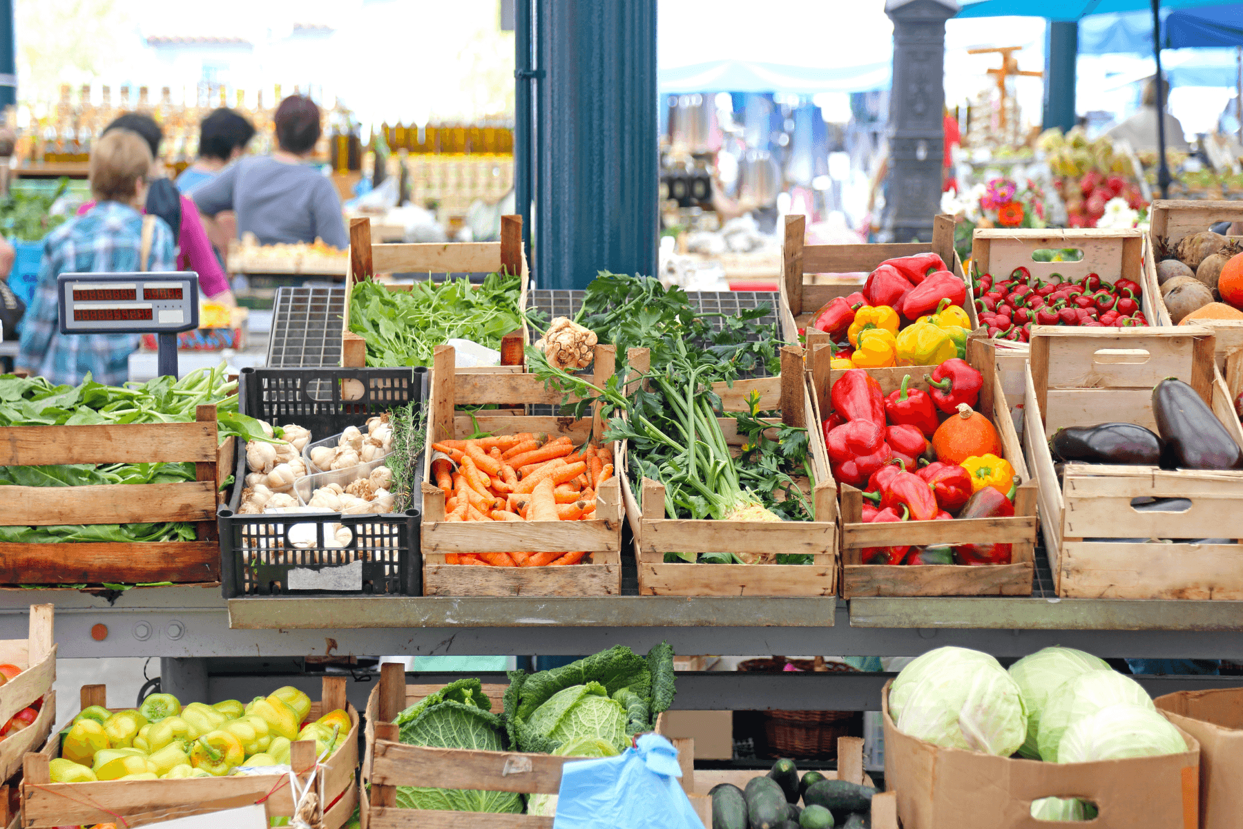 Farmer's Market in Ontario