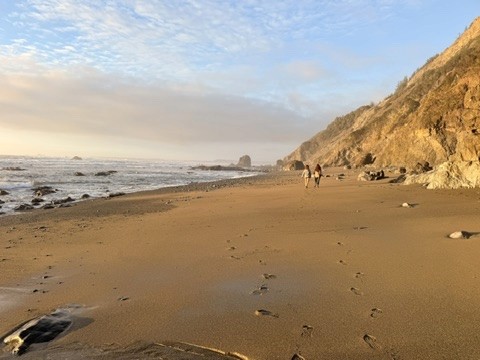 Golden light on the Northern California coastline
