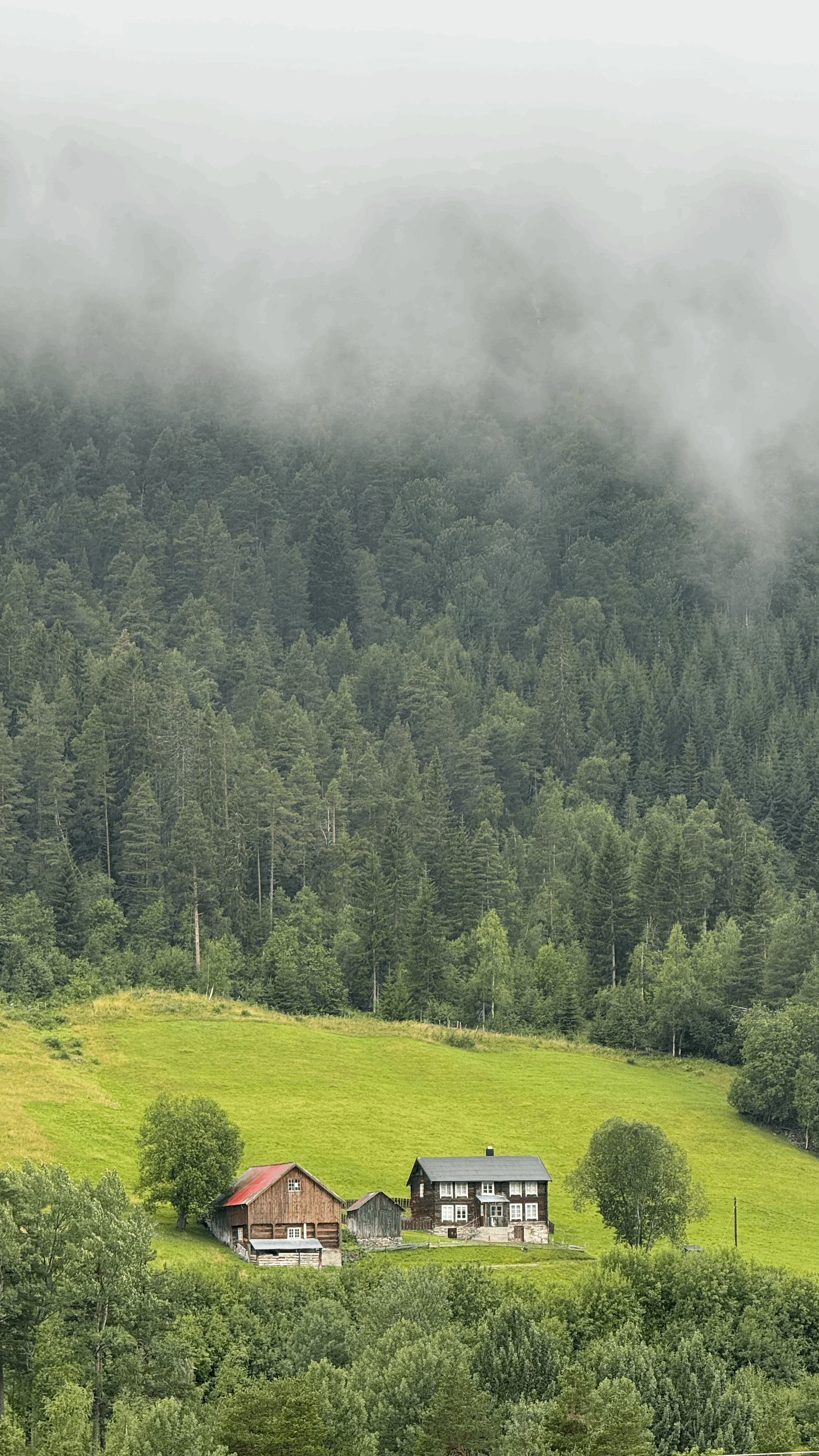 Winding river through a green valley with mountains.