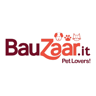Logo di BauZaar