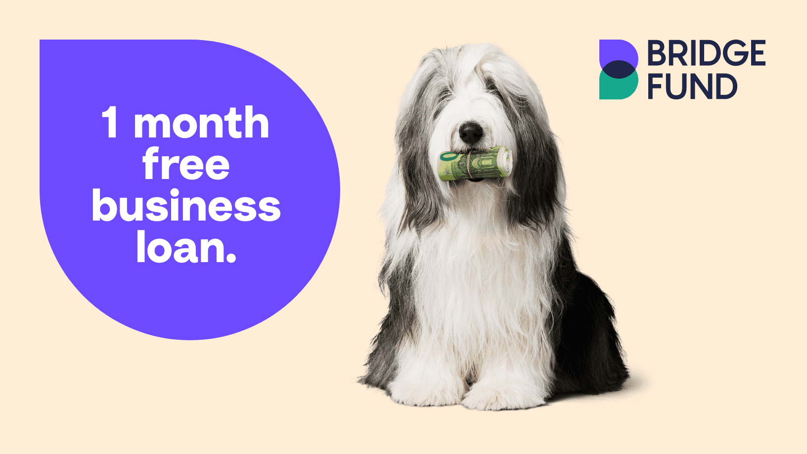Een pluizige hond zit naast tekst die een 1-maand gratis zakelijke lening aanbiedt, met een kleurrijke achtergrond.