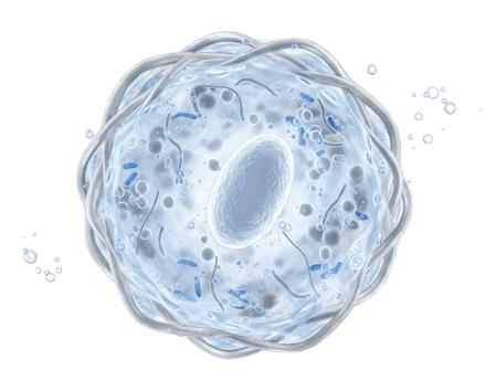 Macro of iridescent purple soap bubbles—dewy, textured beauty-foam cluster on a transparent background.