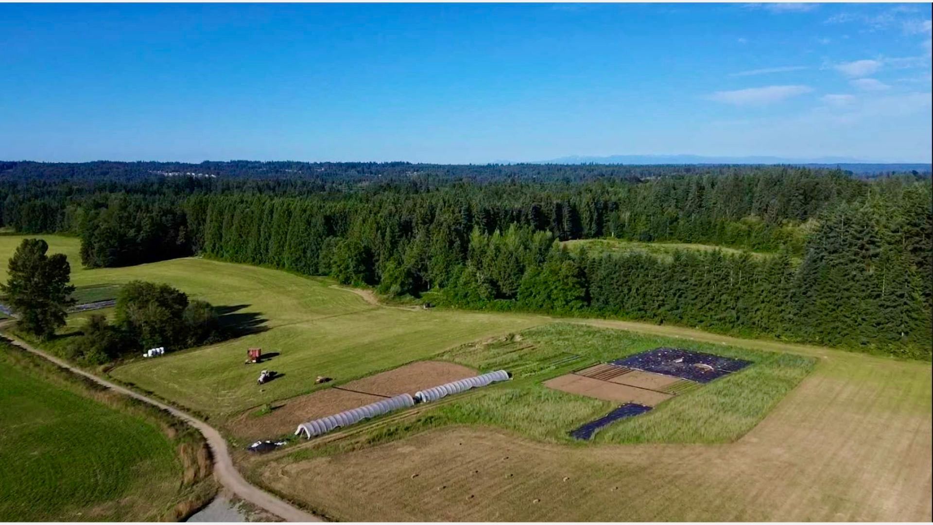 Aerial view of Rooted Northwest farmland showing fields, greenhouses, and surrounding forest in Washington State