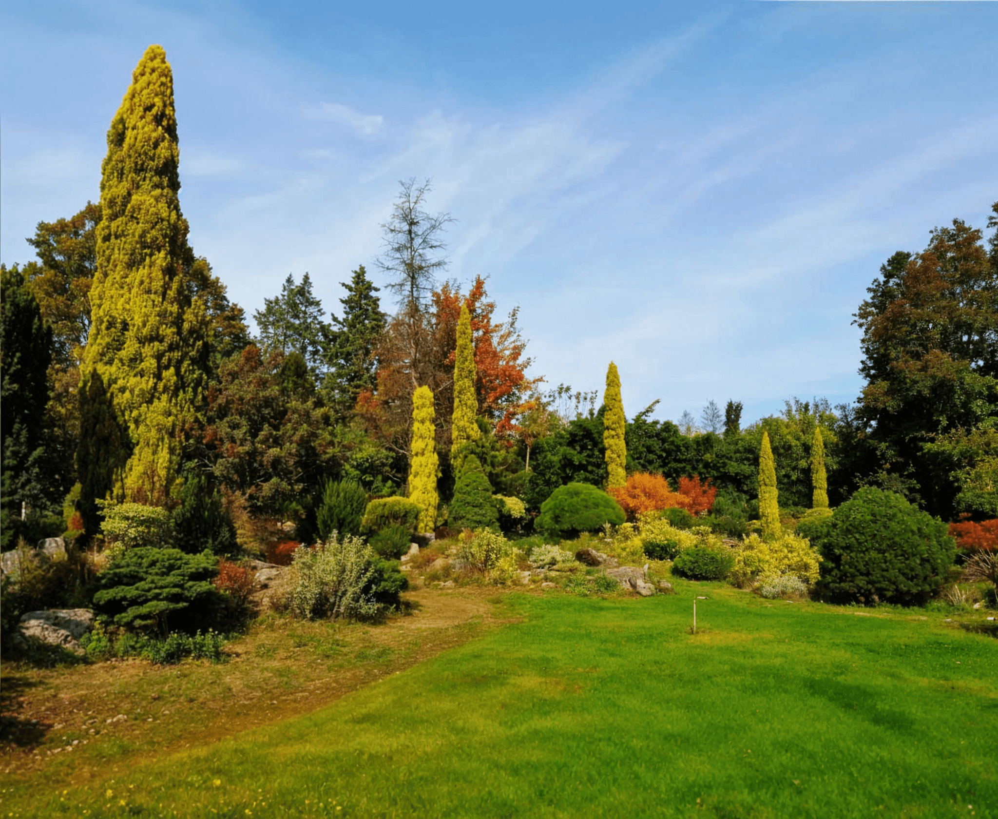 Zengin bitki örtüsü ve doğa ile iç içe bir yürüyüş alanı sunan Karaca Arboretum