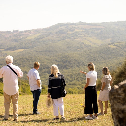 wine tour winery montalcino