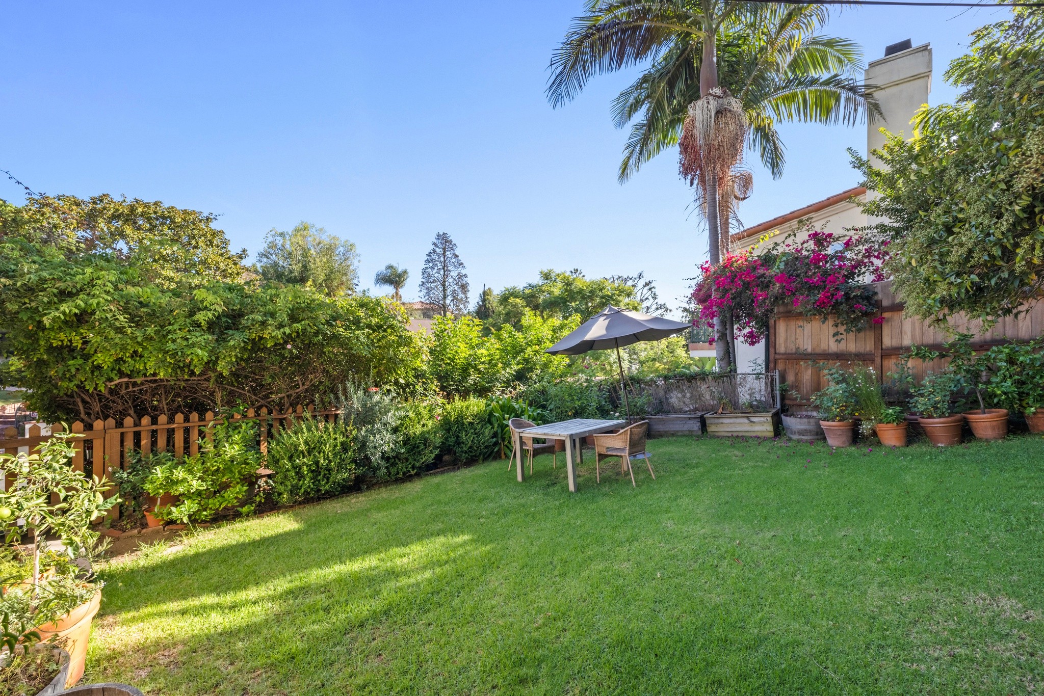 A lush garden at 10301 mississippi, featuring well-kept grass, tropical trees, and a sunny blue sky in the background.