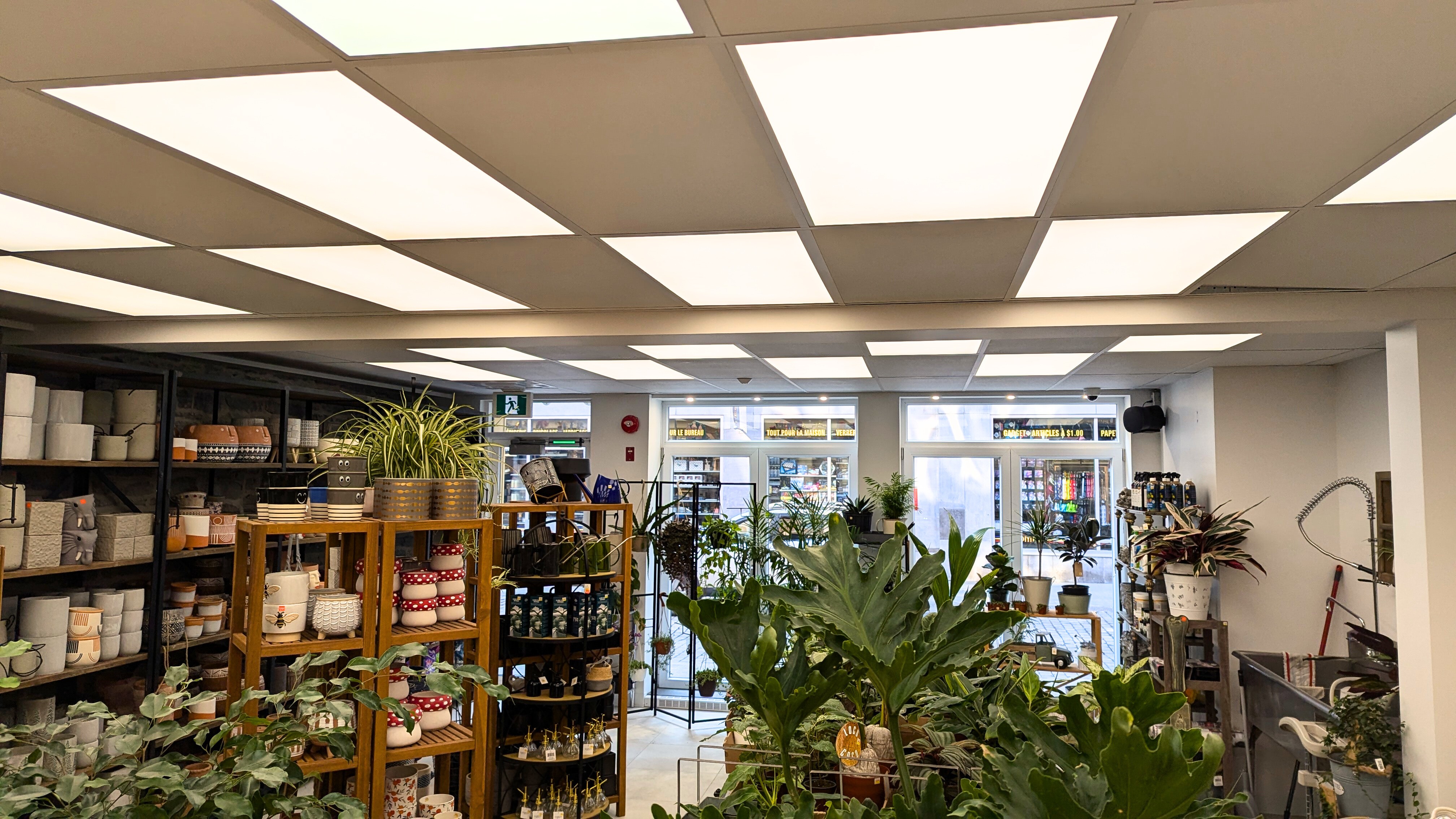 Plafond suspendu, de nombreuses lumières et de multiples plantes à l'intérieur du magasin Brico Déco