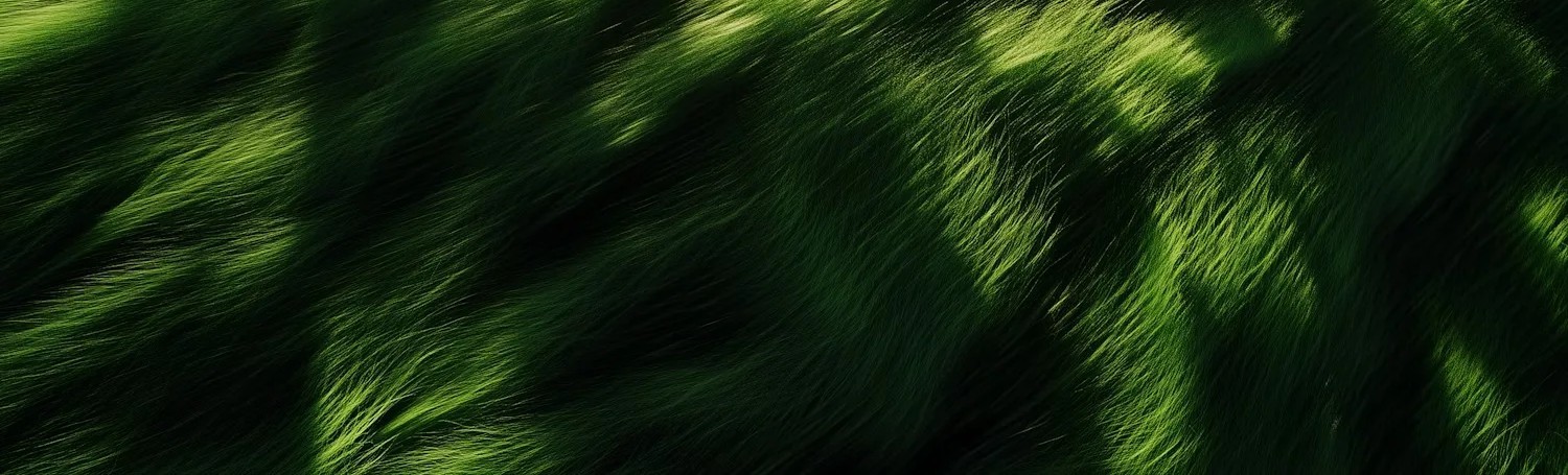 Green Tree Closeup