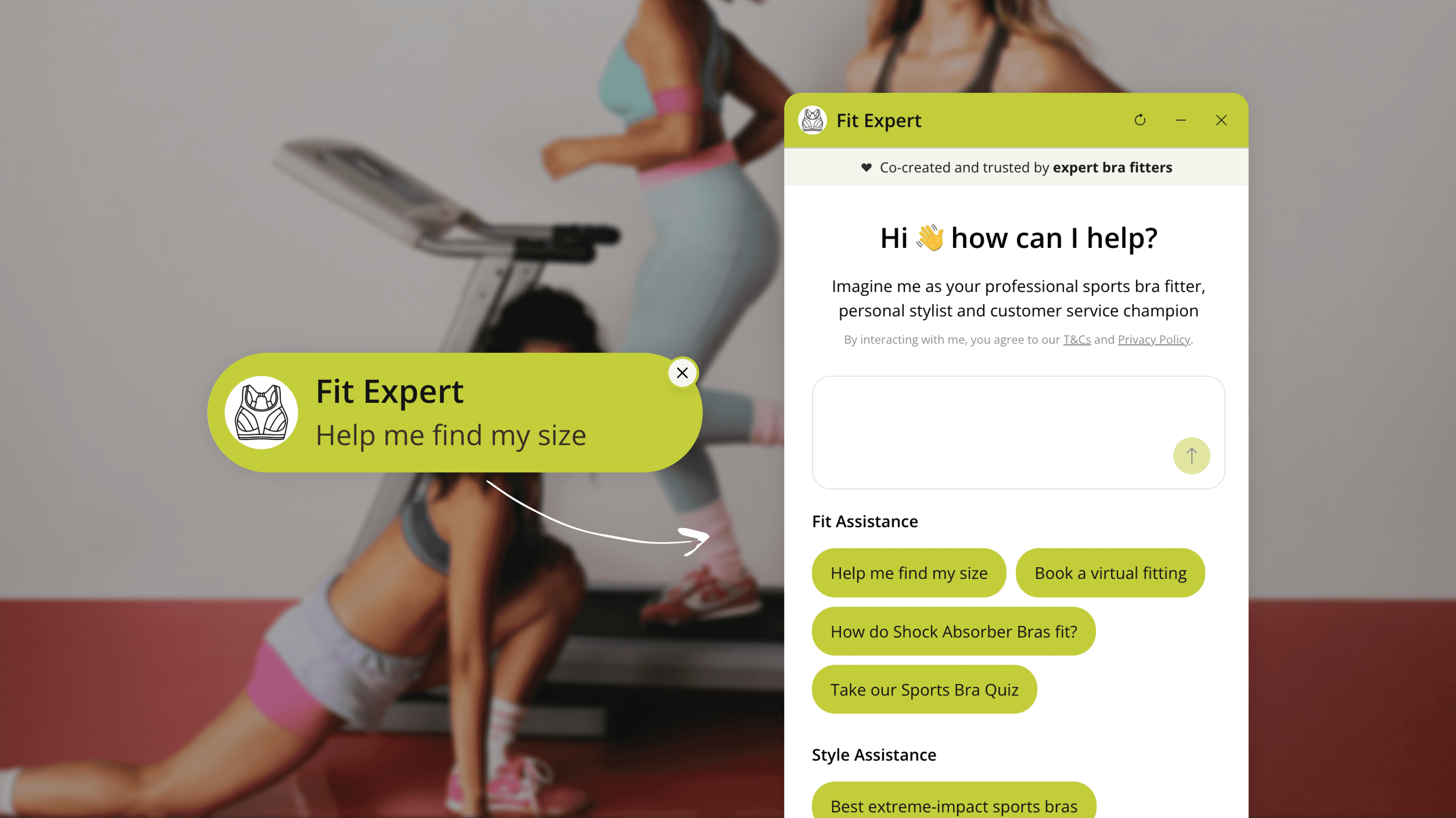 Brarista's full chatbot in use on the Shock Absorber website, showing the brand's aesthetic