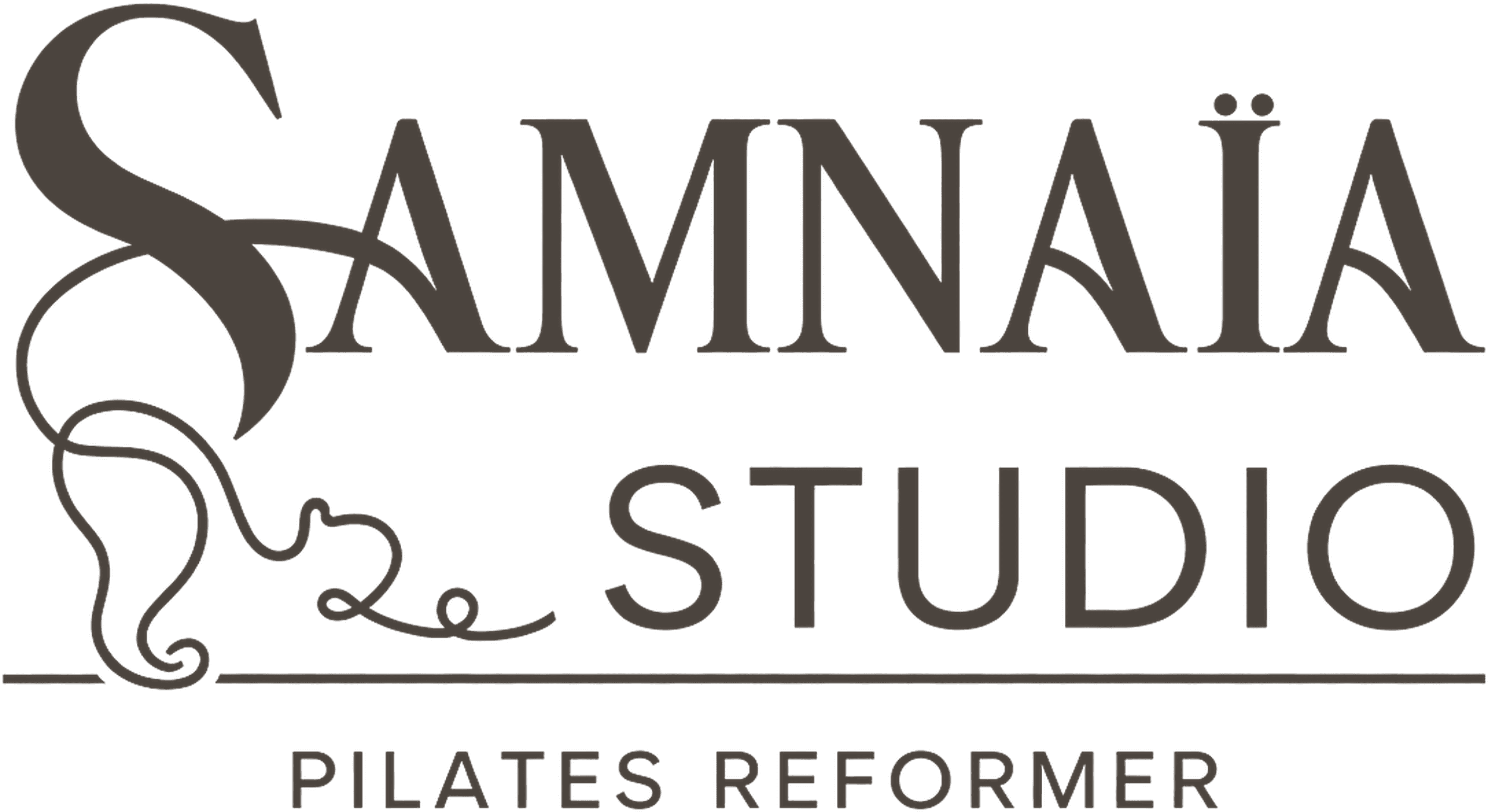 Logo Samnaïa Studio