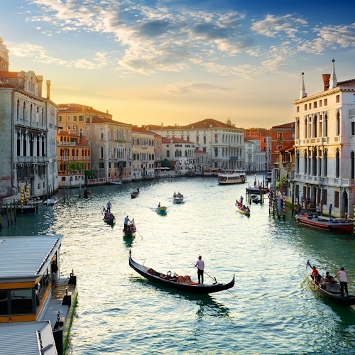 תמונה של המוצר