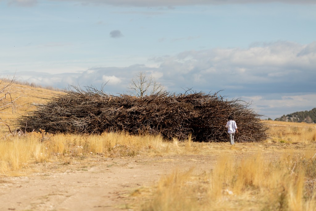 playground of the invisible, uncommissioned, 2025