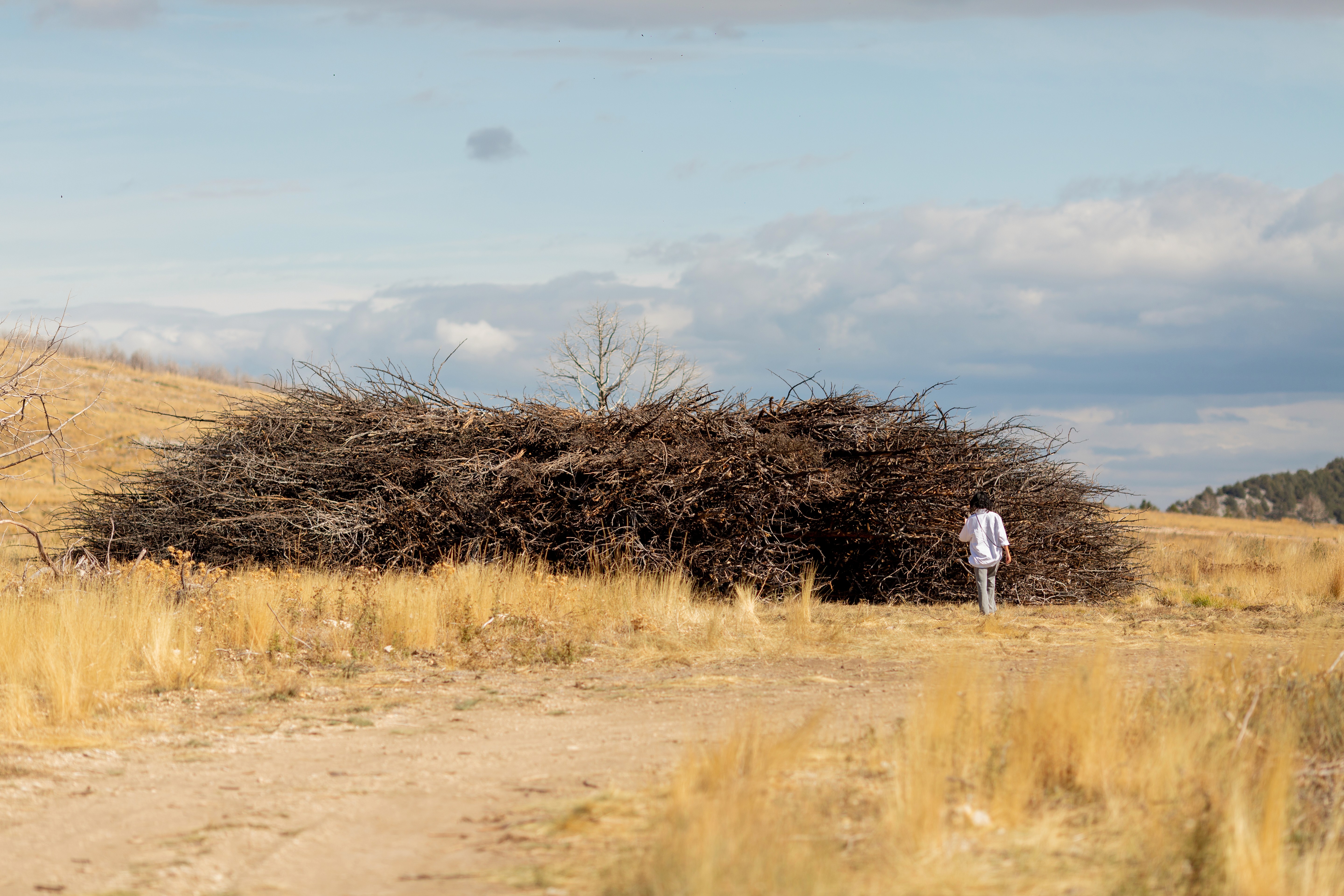 playground of the invisible, uncommissioned, 2025