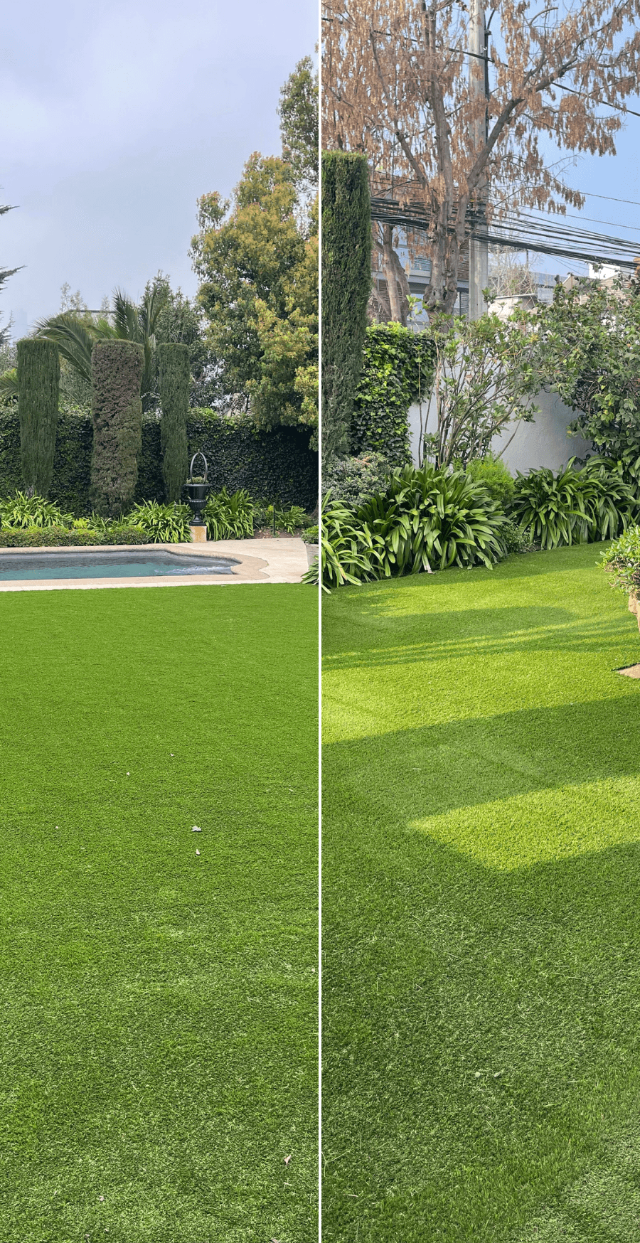 kids lying on a glass land and smiling