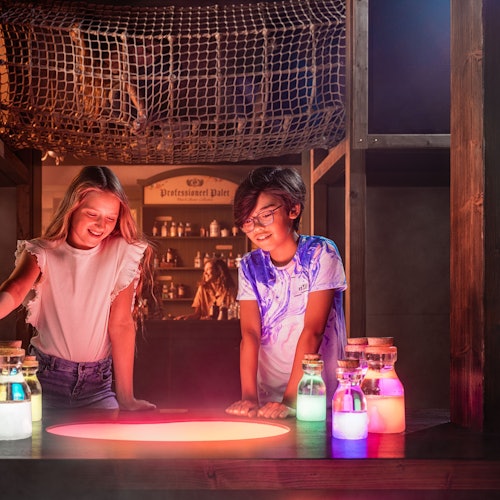 Madurodam: Boleto de entrada en La Haya