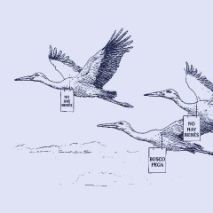 Portada de Crisis de natalidad II: ¿hacia dónde vamos?, apunte de política pública de IdeaPaís, mostrando una ilustración de cigüeñas en vuelo. 