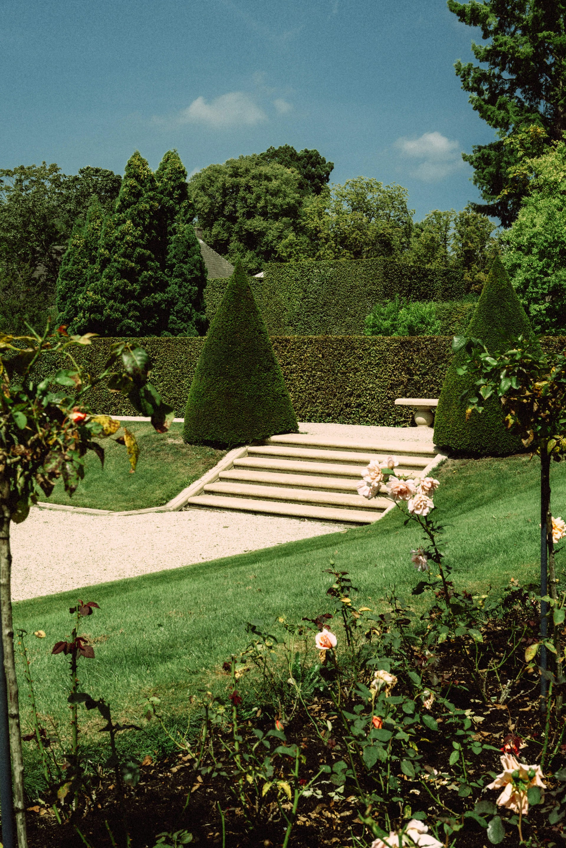 Grand jardin paysager avec pelouse, haies taillées et escalier de pierre menant à une terrasse.