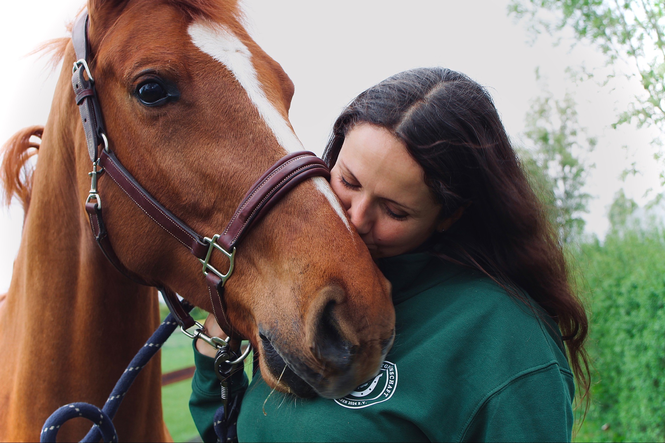 Reitsport