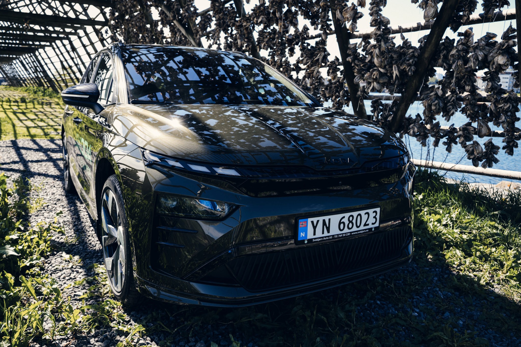 Profilbilde av oliven grønn skoda enyaq