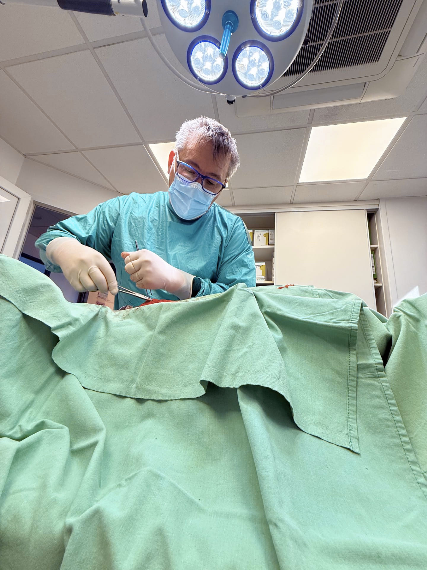 Opération vétérinaire