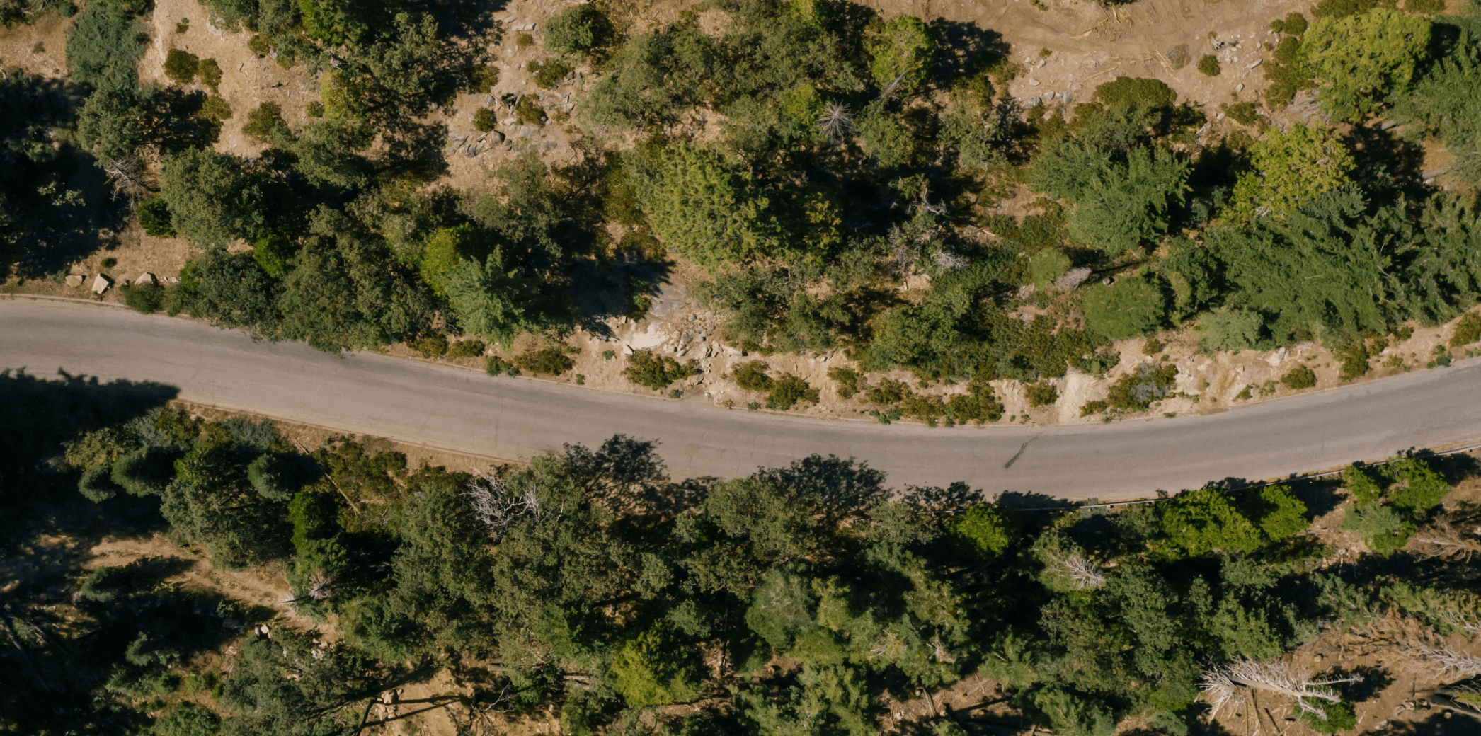 Aerial view of forest road