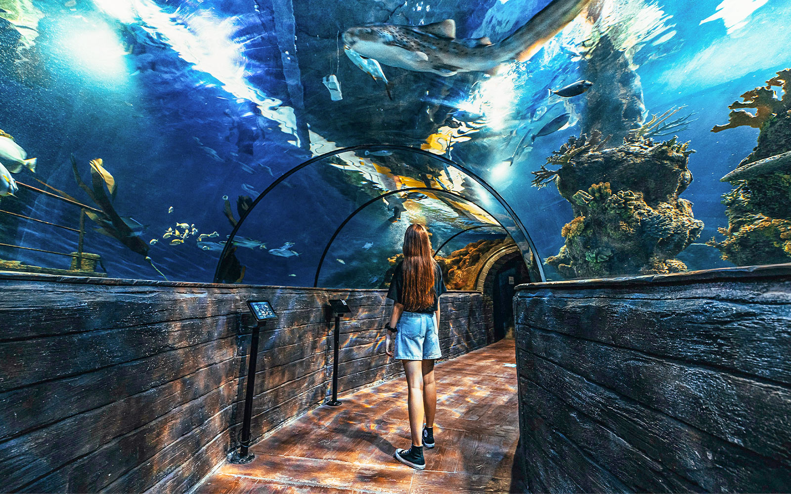Woman walking through underwater tunnel at Malta National Aquarium.
