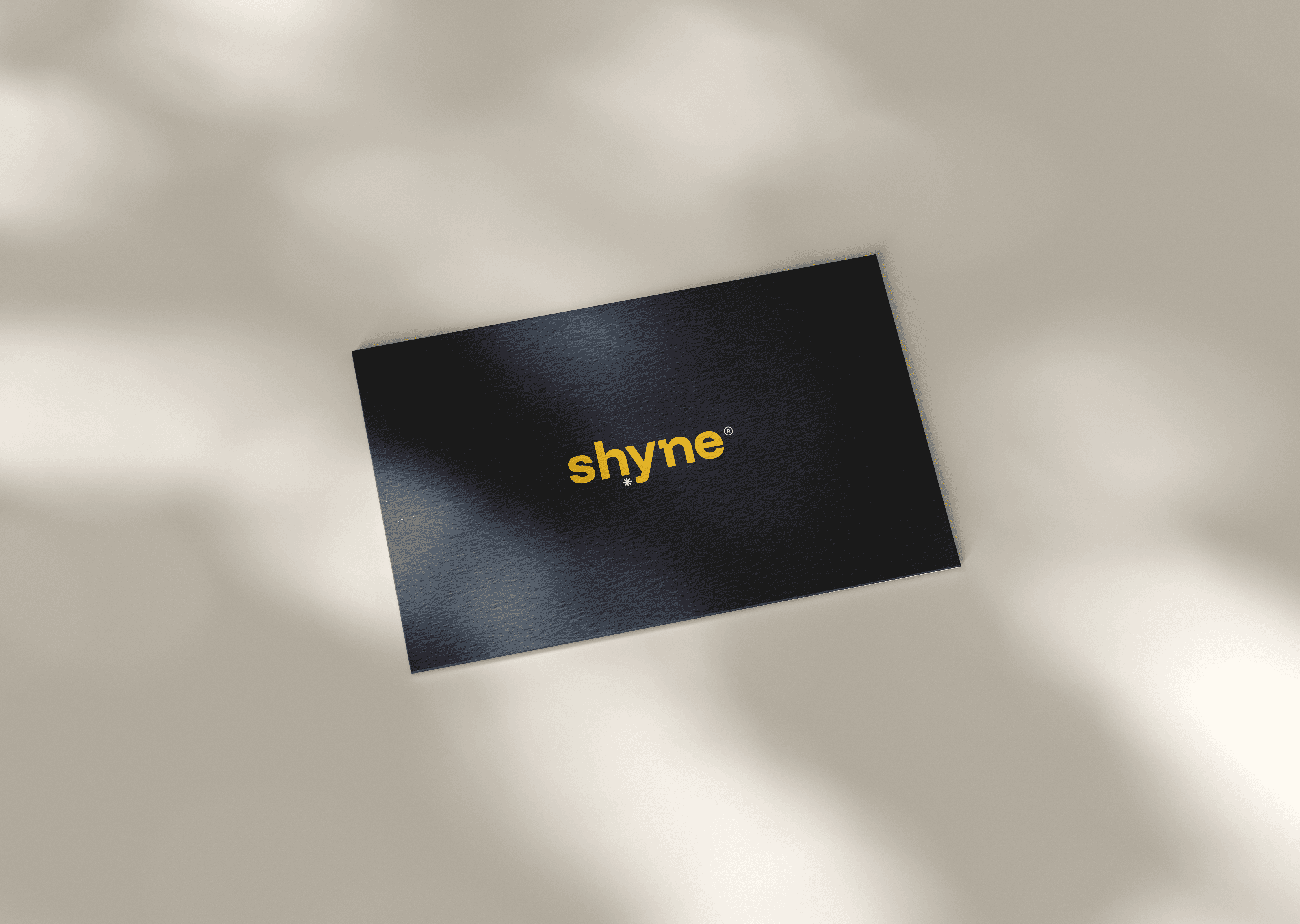 Project Content Image - 4