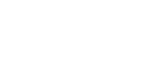 Transglobal Ltd. Logo