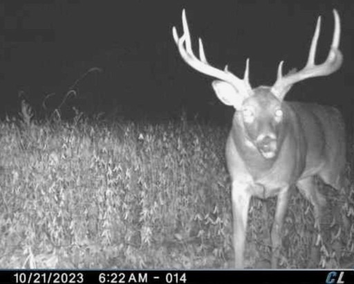 Photo 3 of 6880 County Road P, Pulaski