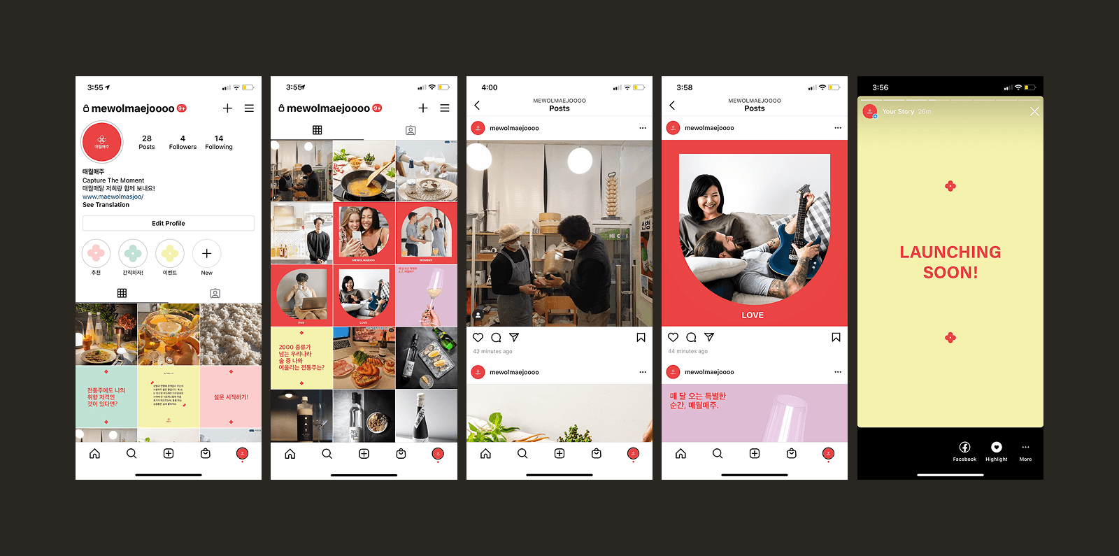 Large Project Gallery Image #4