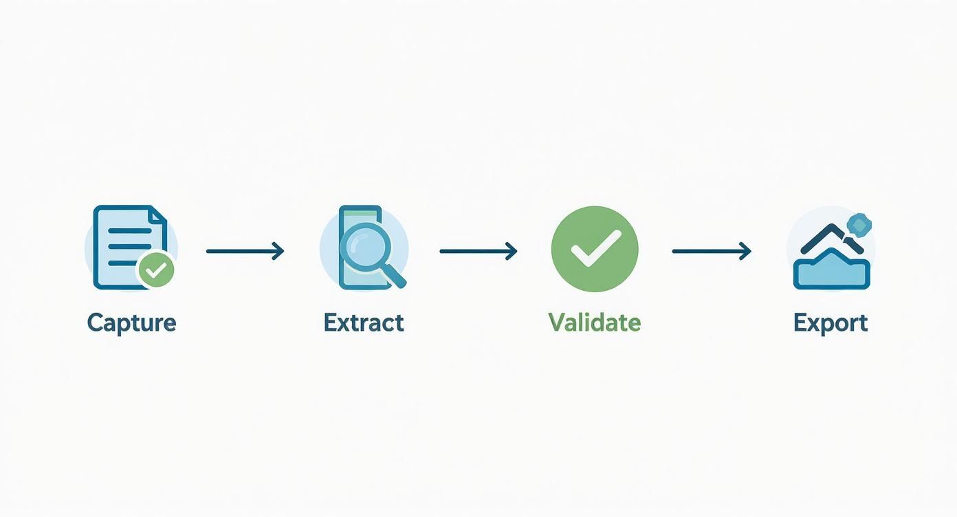 A four-step data entry automation process: capture, extract, validate, and export.