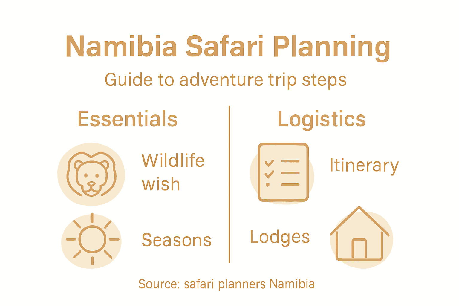 Infographic with safari planning steps for Namibia