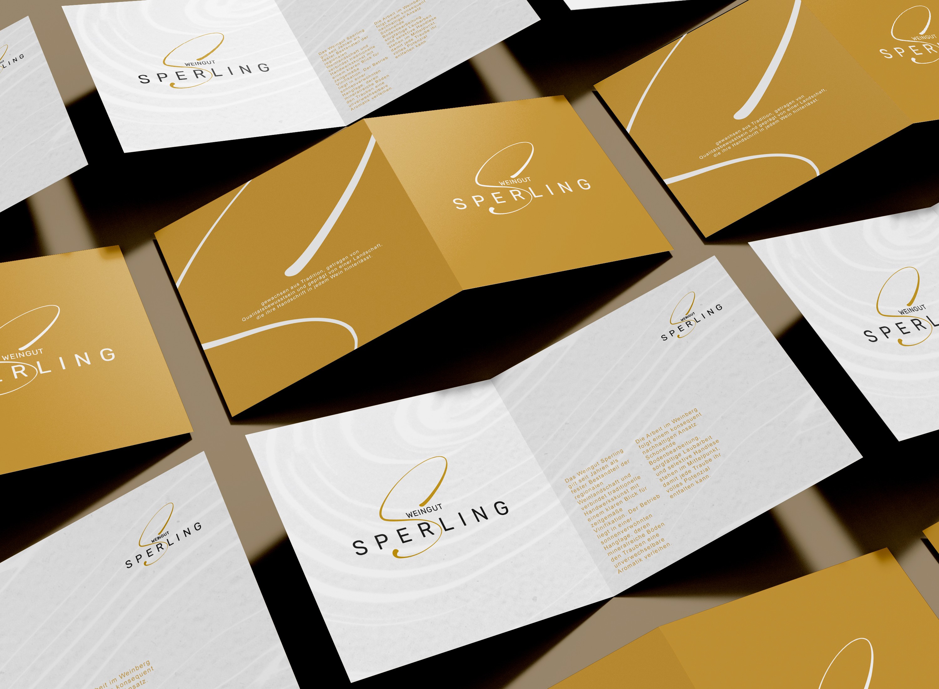 Boy holding daisies with a ray of light