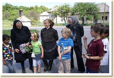 Close-up of lush, dark green leaves, some glossy and wet, against a muted background.
