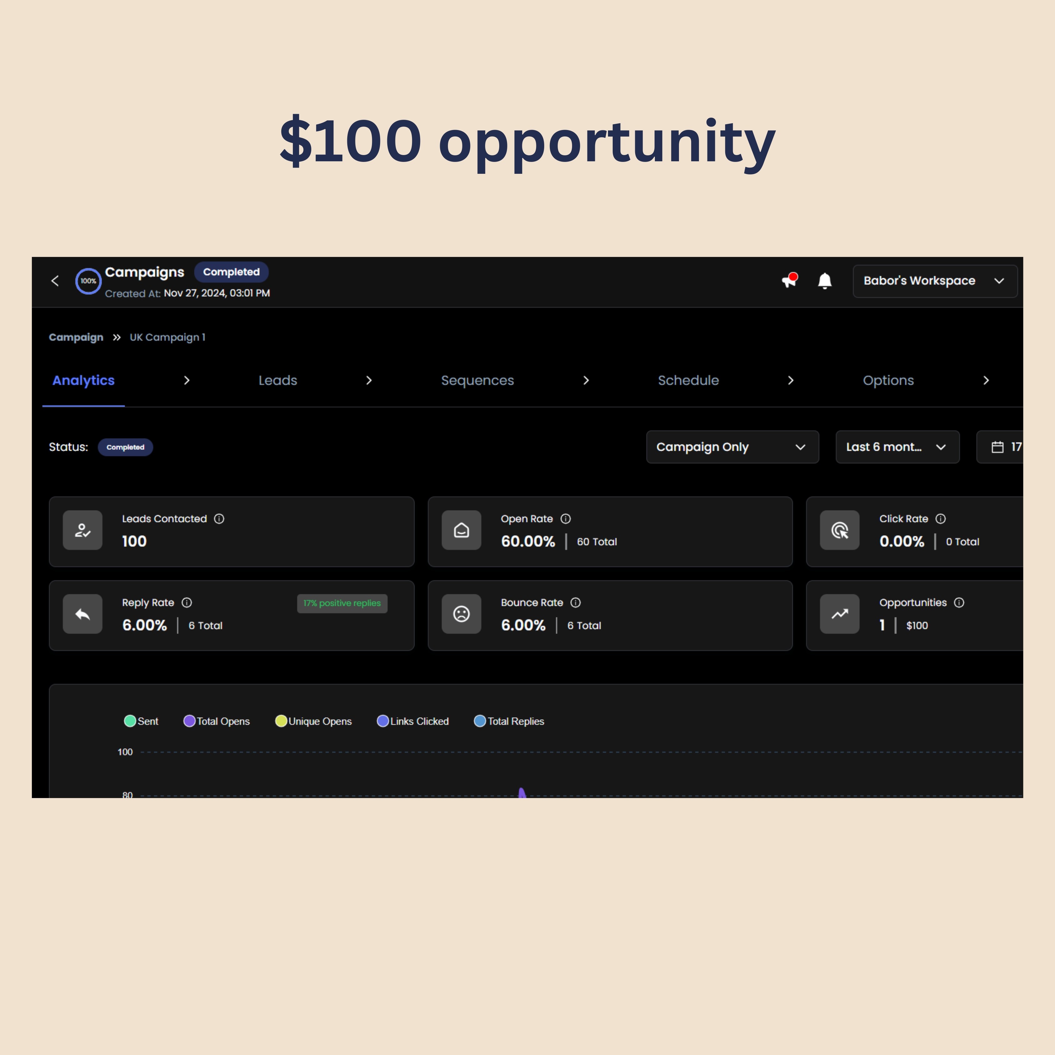 Successful Email Campaigns 2