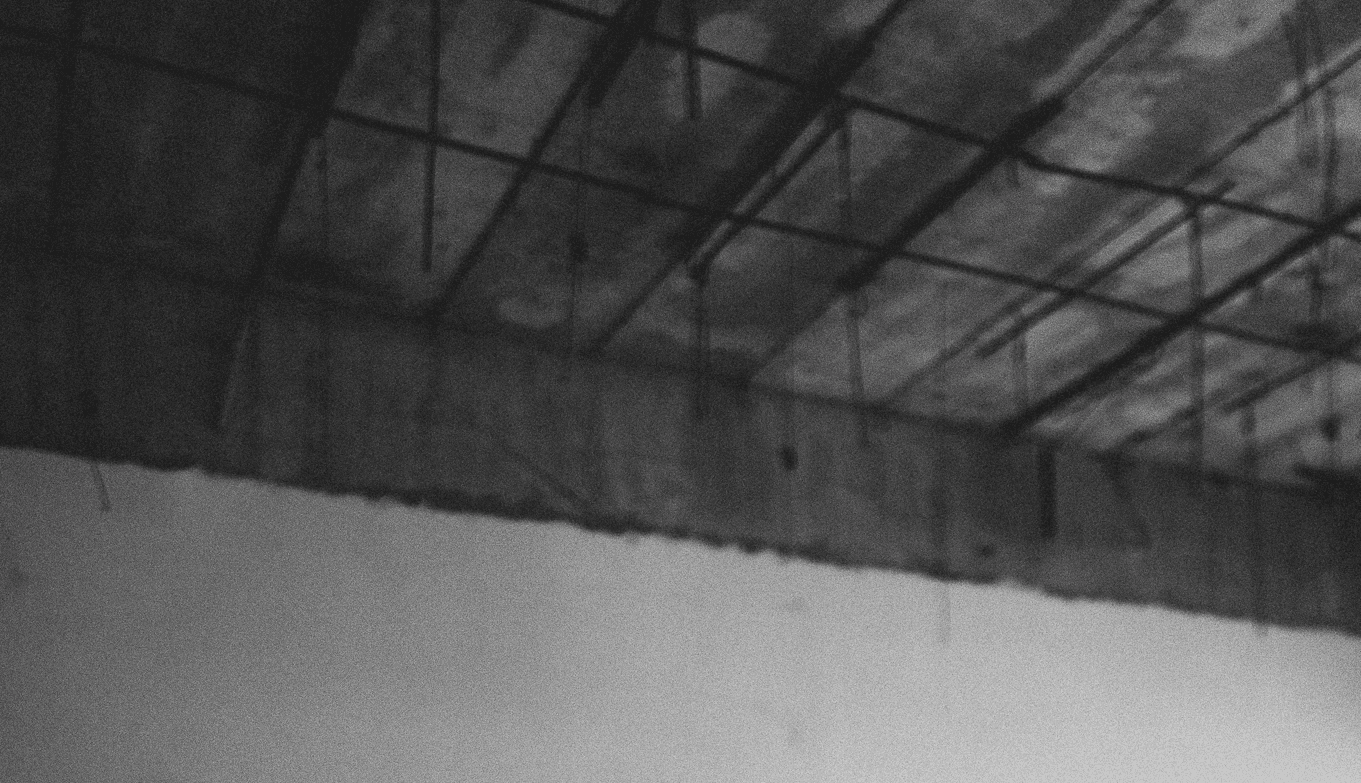 trettmann picture DIY LP