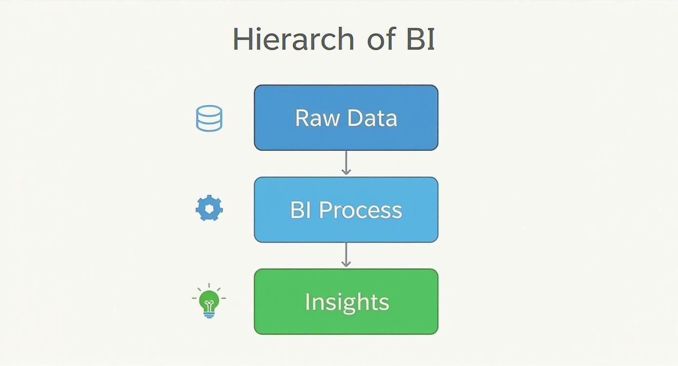 Infographic about business intelligence reporting