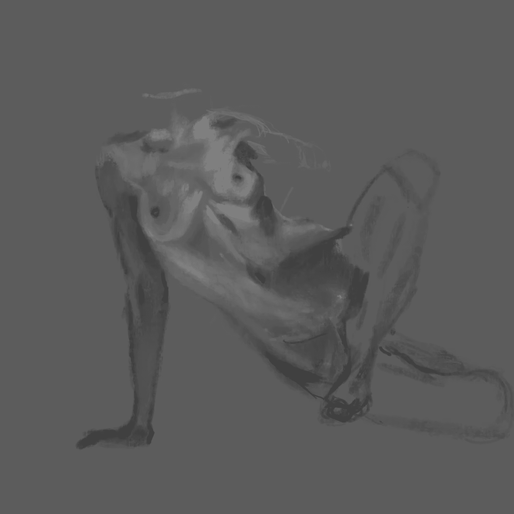 Study of a woman's torso anatomy