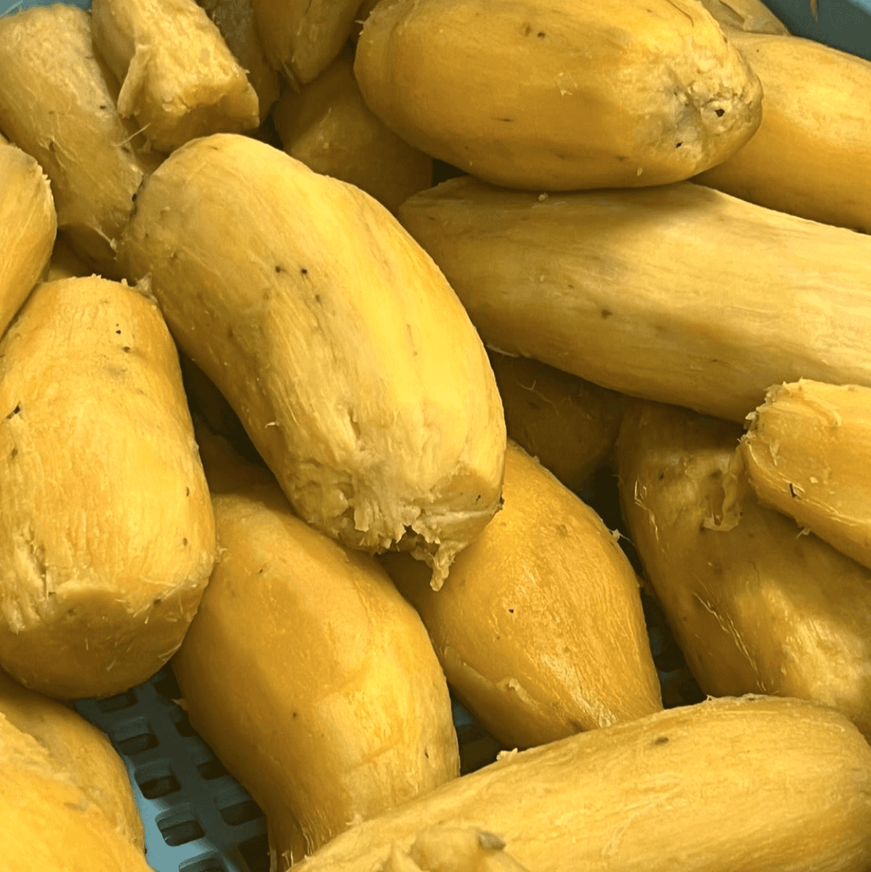 Film photo of man standing at edge of cliff