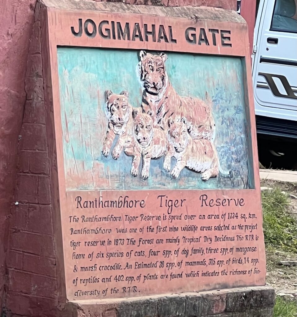 Description of Jogimahal gate in Ranthambore National Park.