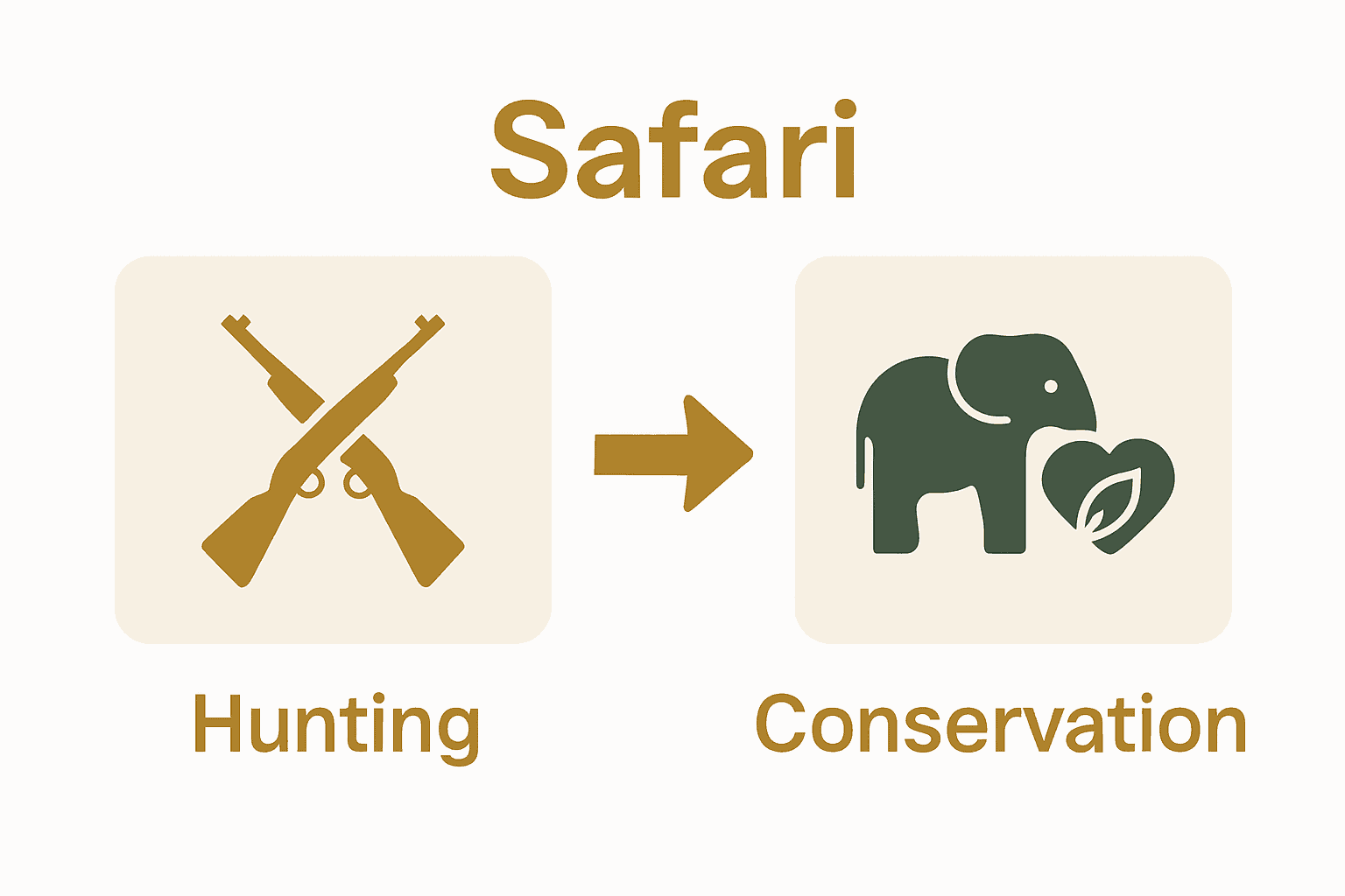 Infographic showing shift from hunting to conservation safaris
