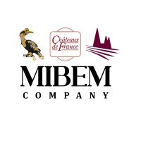 MIBEM Company