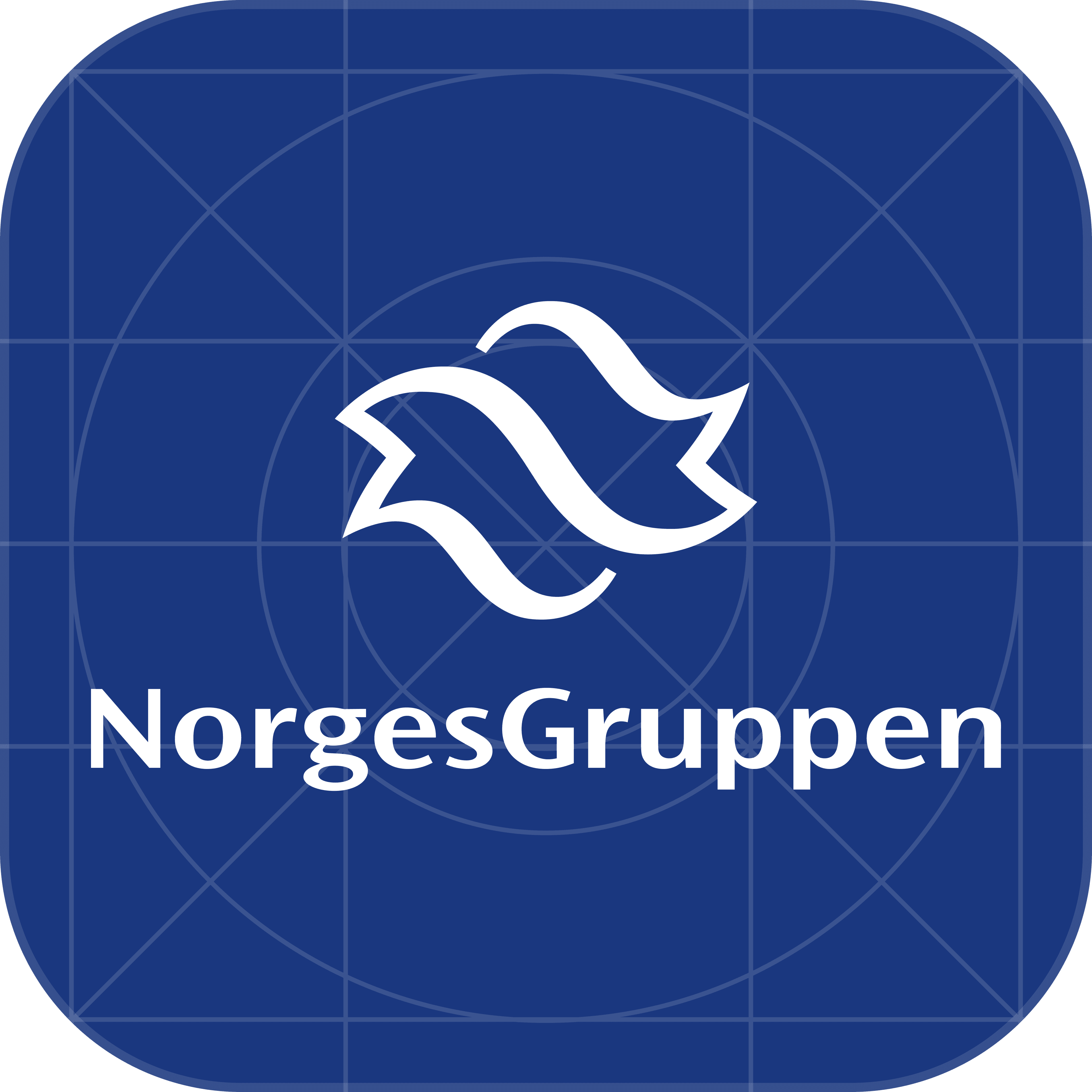 NorgesGruppen app logo.