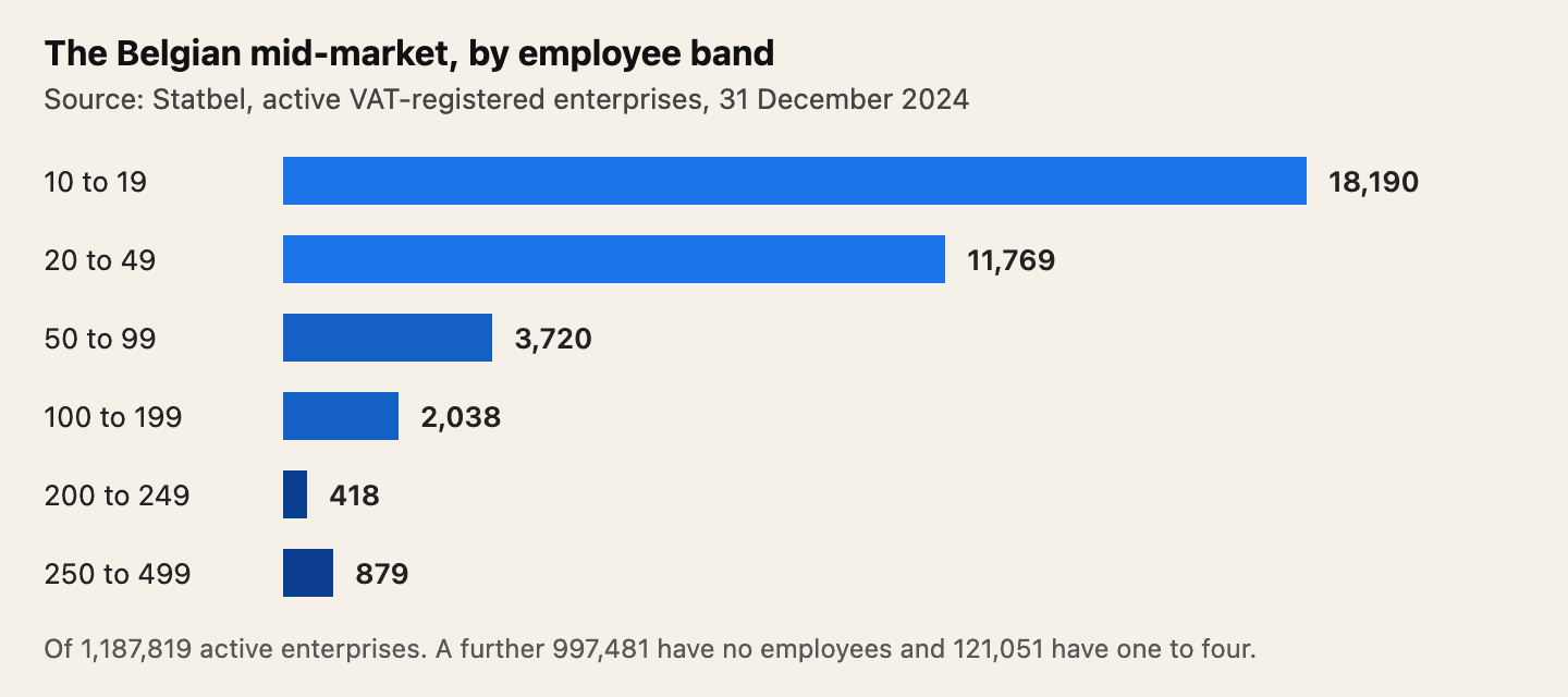 Source: Statbel, 31 December 2024. Belgium has 18,190 enterprises with 10 to 19 employees, 11,769 with 20 to 49, 3,720 with 50 to 99, 2,038 with 100 to 199, 418 with 200 to 249 and 879 with 250 to 499.