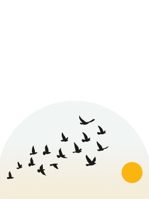 Studio portrait of a woman wearing a zebra-pattern shirt looking directly at the camera.