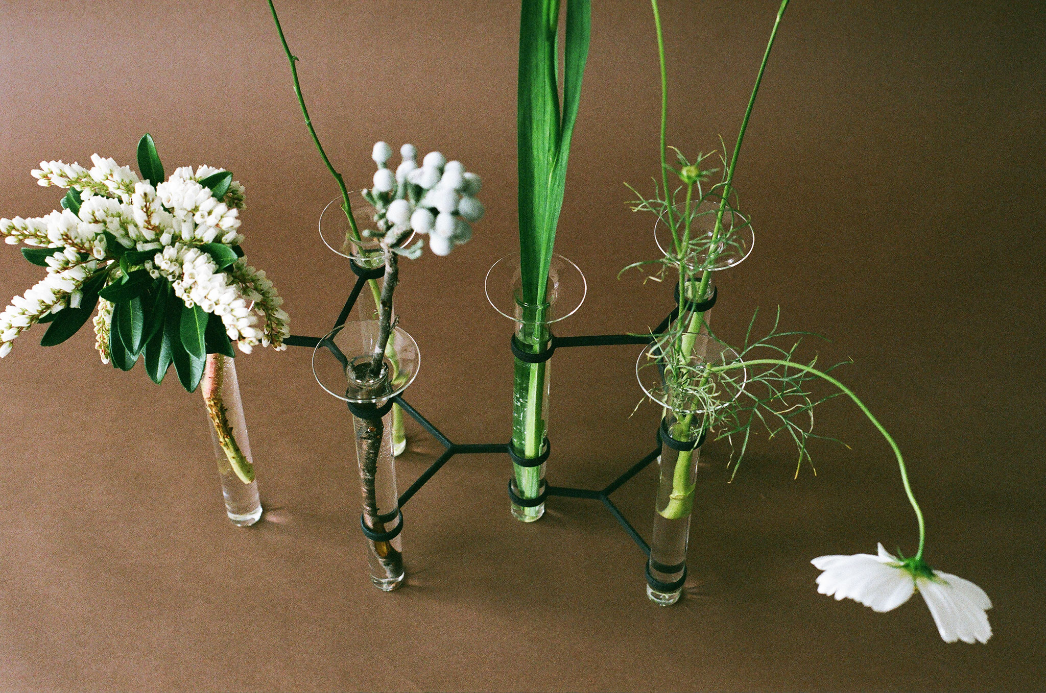 Slideshow image 3